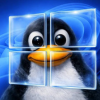 VPS/RDP Services